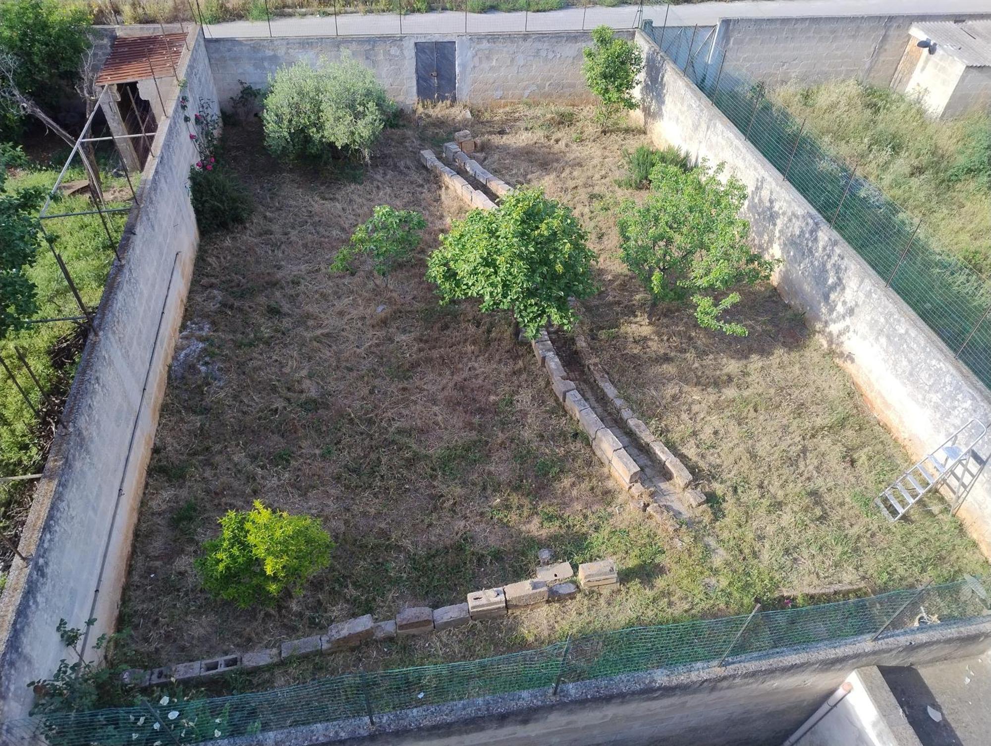 Favolosa Casa Con Terrazza, Idromassaggio, Cortile E Garage Auto Carovigno Eksteriør billede